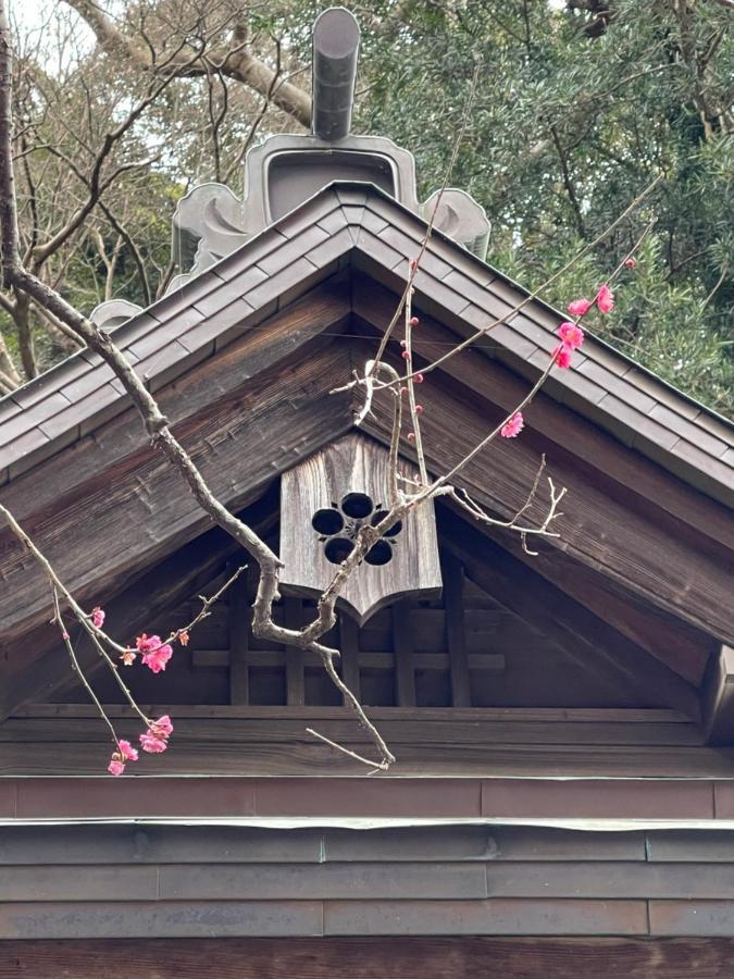 Children'S Cafe B&B Kimie 카마쿠라 외부 사진