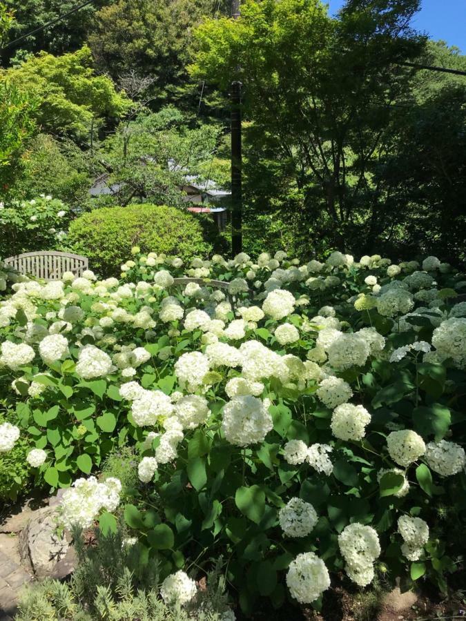 Children'S Cafe B&B Kimie 카마쿠라 외부 사진